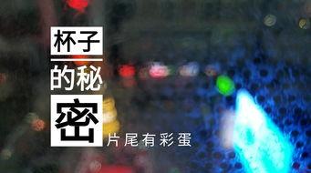 山东饭店爆料视频最新版,揭露惊人内幕,真相令人震惊! 第2张 山东饭店爆料视频最新版,揭露惊人内幕,真相令人震惊! 第2张